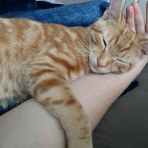 Meet your Posher, Katie